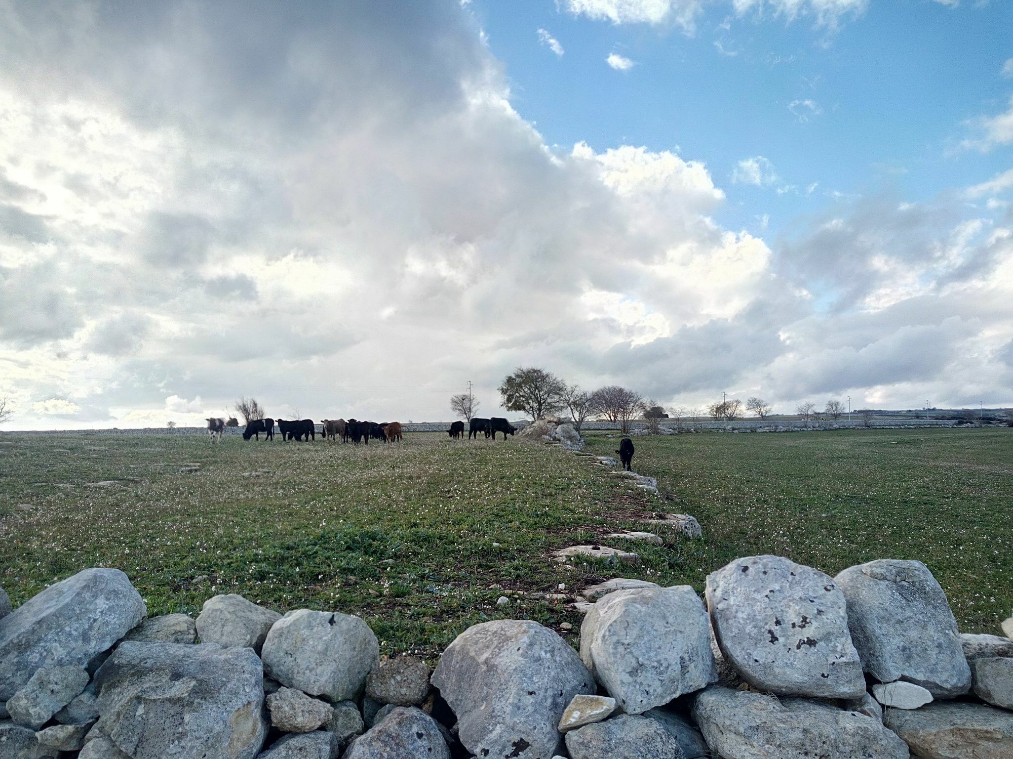 Caposud - Appartamento Sottovento Marina di Ragusa Exterior foto